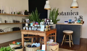 Botanica-cbd_interior_24e94d75-6758-4c44-bee2-6878ac66c321
