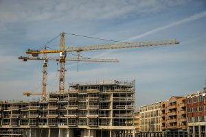 pexels-mike-van-schoonderwalt-1884800-5505119