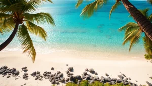 Enjoy breathtaking scenes of Harvest Caye Tours Belize with scenic beaches and azure waters.